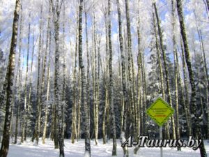 История деревни Боровляны заповедник Прилепский