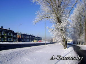 История деревни Боровляны квартал Зелёный Бор три